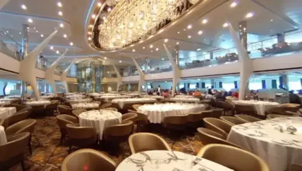 COSMOPOLITAN RESTAURANT CELEBRITY